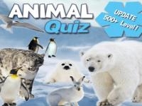 Jeu mobile Animal quiz
