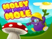 Jeu mobile Purple mole
