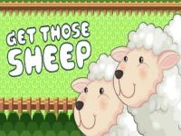 Get those sheep