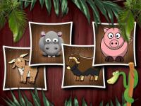 Jeu mobile Animal shapes 3