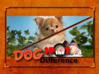 Jeu mobile Dog spot the difference