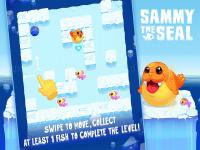 Sammy the seal