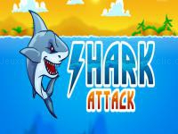Shark attack