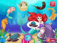 Mermaid pet shop