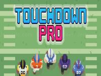 Touchdown pro