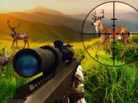 Jeu mobile Wild hunter sniper buck