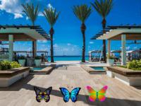 Jeu mobile Find 100 butterflies