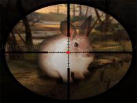 Jeu mobile Classical rabbit sniper hunting 2019