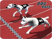 Jeu mobile Crazy dog racing fever : dog race game 3d
