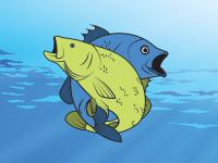 Jeu mobile Friendly fish coloring