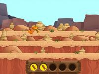 Buddy's big campout adventure