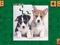 Cute puppies puzzle