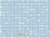 Super word search