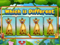 Jeu mobile Which is different animal