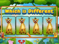 Which is different animal