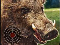 Jeu mobile Boar hunting jigsaw