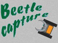 Jeu mobile Beetle capture