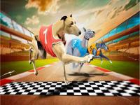 Jeu mobile Crazy dog racing game 2020