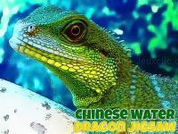 Jeu mobile Chinese water dragon jigsaw