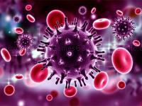 Jeu mobile Coronavirus puzzle