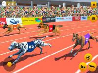 Jeu mobile Dog race sim 2020: dog racing games