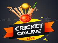 Jeu mobile Cricket online