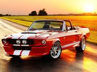 Jeu mobile Fancy mustang differences