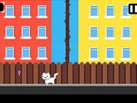 Kawaii sweetie cat: yumi