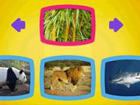 Jeu mobile What do animals eat?