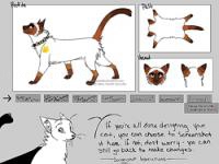 Jeu mobile Create a cat