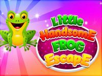 Jeu mobile Little handsome frog escape