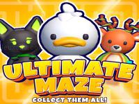 Jeu mobile Ultimate maze! collect them all!