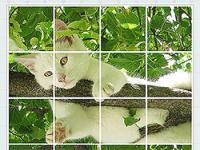 Jeu mobile Rotate puzzle: cats and dogs