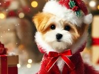Jeu mobile Cute animals jigsaw adorable puppies and kittens