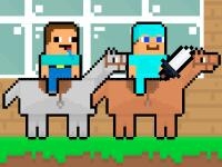 Noob vs pro horsecraft
