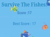 Jeu mobile Survive the fishes