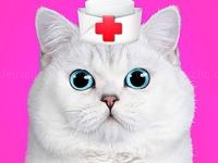 Jeu mobile Cat pet doctor dentist