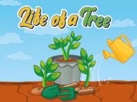 Jeu mobile Life of a tree