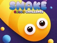 Jeu mobile Snake color challenge