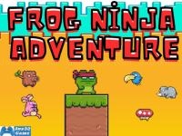 Jeu mobile Frog ninja adventure