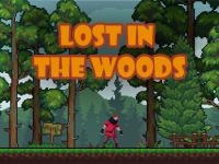 Jeu mobile Lost in the woods