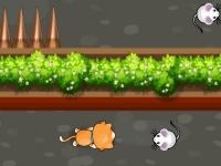 Jeu mobile Cat trap labyrinth escape