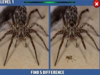 Jeu mobile Spider hidden difference