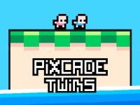 Pixcade twins