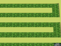 Cut the grass