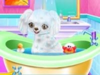 Jeu mobile My new poodle friend - pet care game