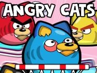 Jeu mobile Angry cats