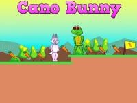 Jeu mobile Cano bunny