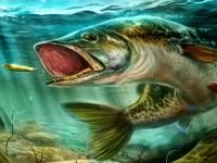 Jeu mobile Ultimate fishing simulator