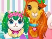 Funy pet haircut